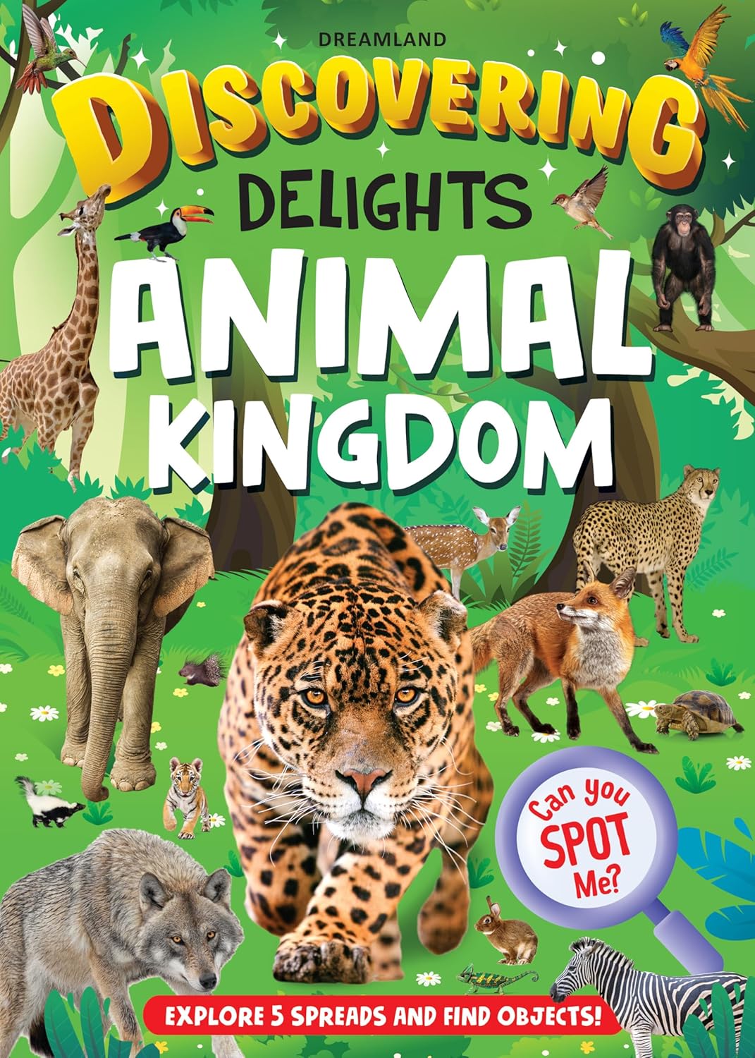 Dreamland Publications Discovering Delights Activity Book Pack for Kids Age 4 -10 years - A Set of 4 Books | Grocsy