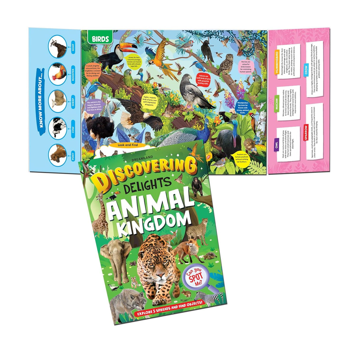 Dreamland Publications Discovering Delights Activity Book Pack for Kids Age 4 -10 years - A Set of 4 Books | Grocsy