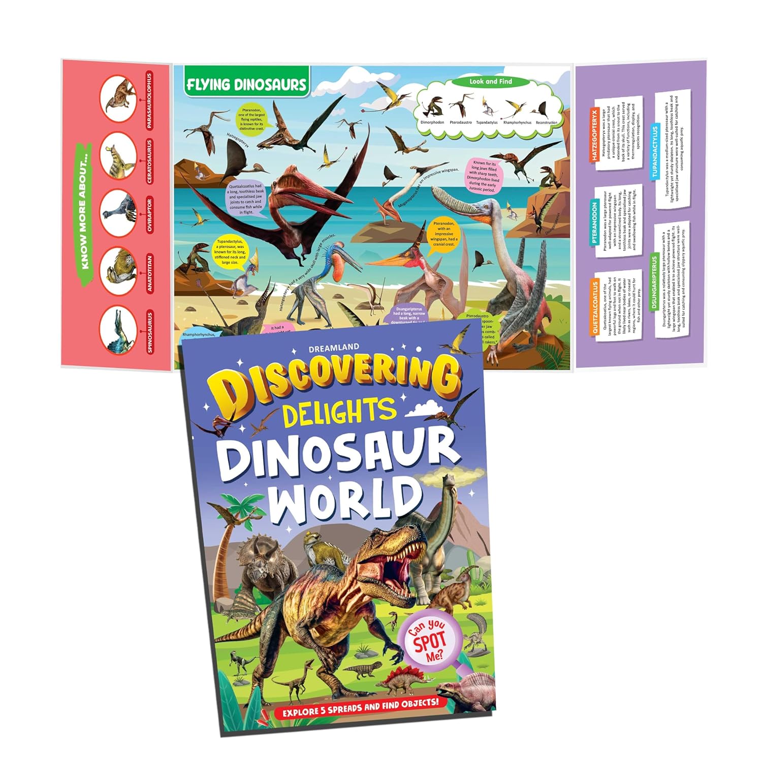 Dreamland Publications Discovering Delights Activity Book Pack for Kids Age 4 -10 years - A Set of 4 Books | Grocsy