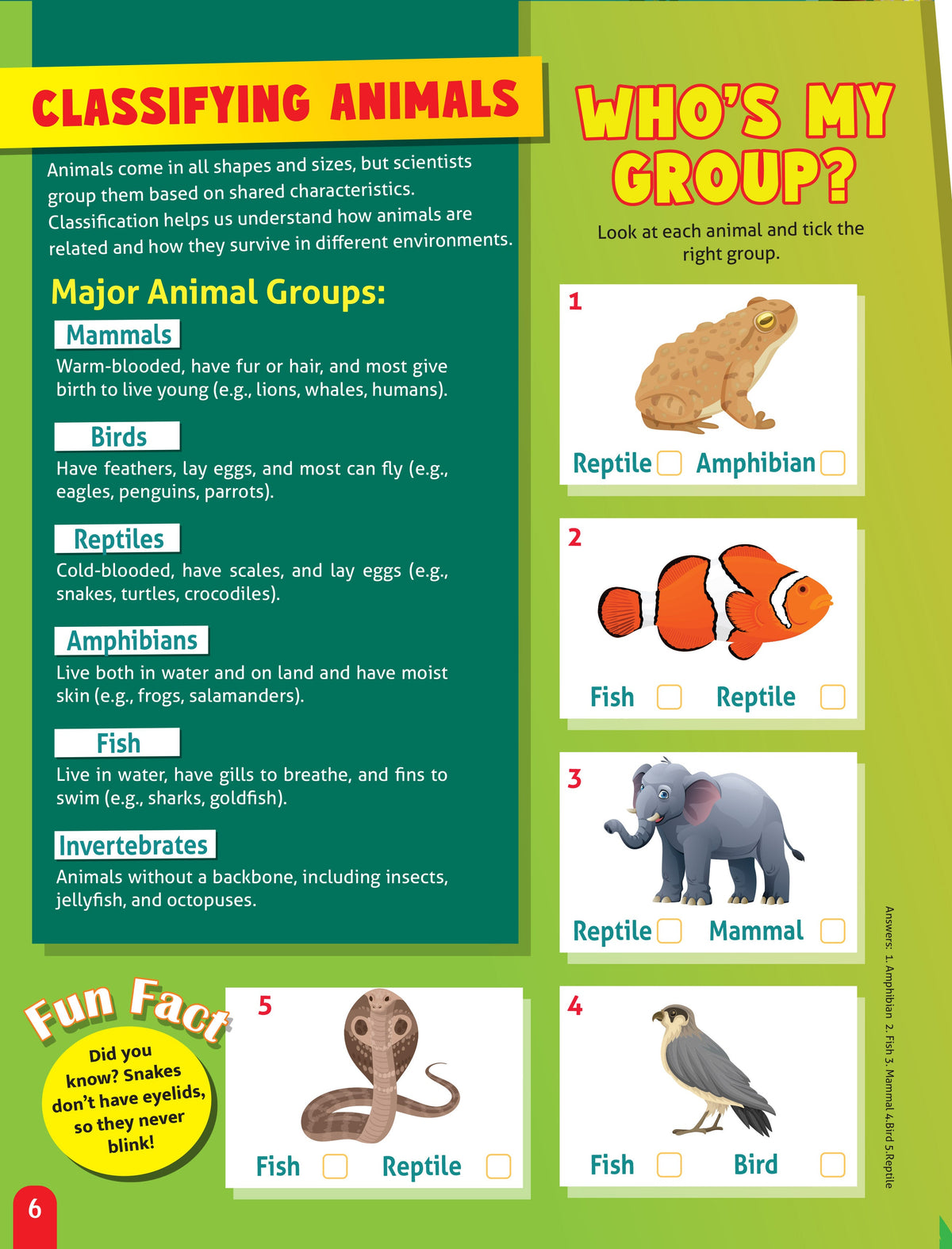 Dreamland Publications Junior Genius: Amazing Animals – A Fun-Filled Learning Book for Kids Age 7+ | Discover Incredible Creatures with Facts, Activities, and Puzzles | Grocsy