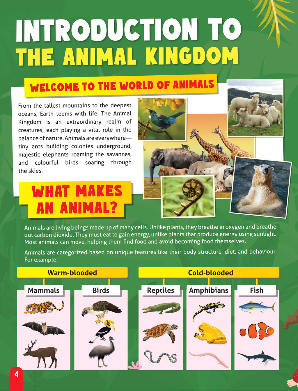 Dreamland Publications Junior Genius: Amazing Animals – A Fun-Filled Learning Book for Kids Age 7+ | Discover Incredible Creatures with Facts, Activities, and Puzzles | Grocsy