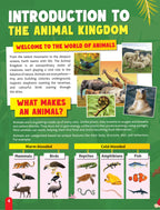 Dreamland Publications Junior Genius: Amazing Animals – A Fun-Filled Learning Book for Kids Age 7+ | Discover Incredible Creatures with Facts, Activities, and Puzzles | Grocsy