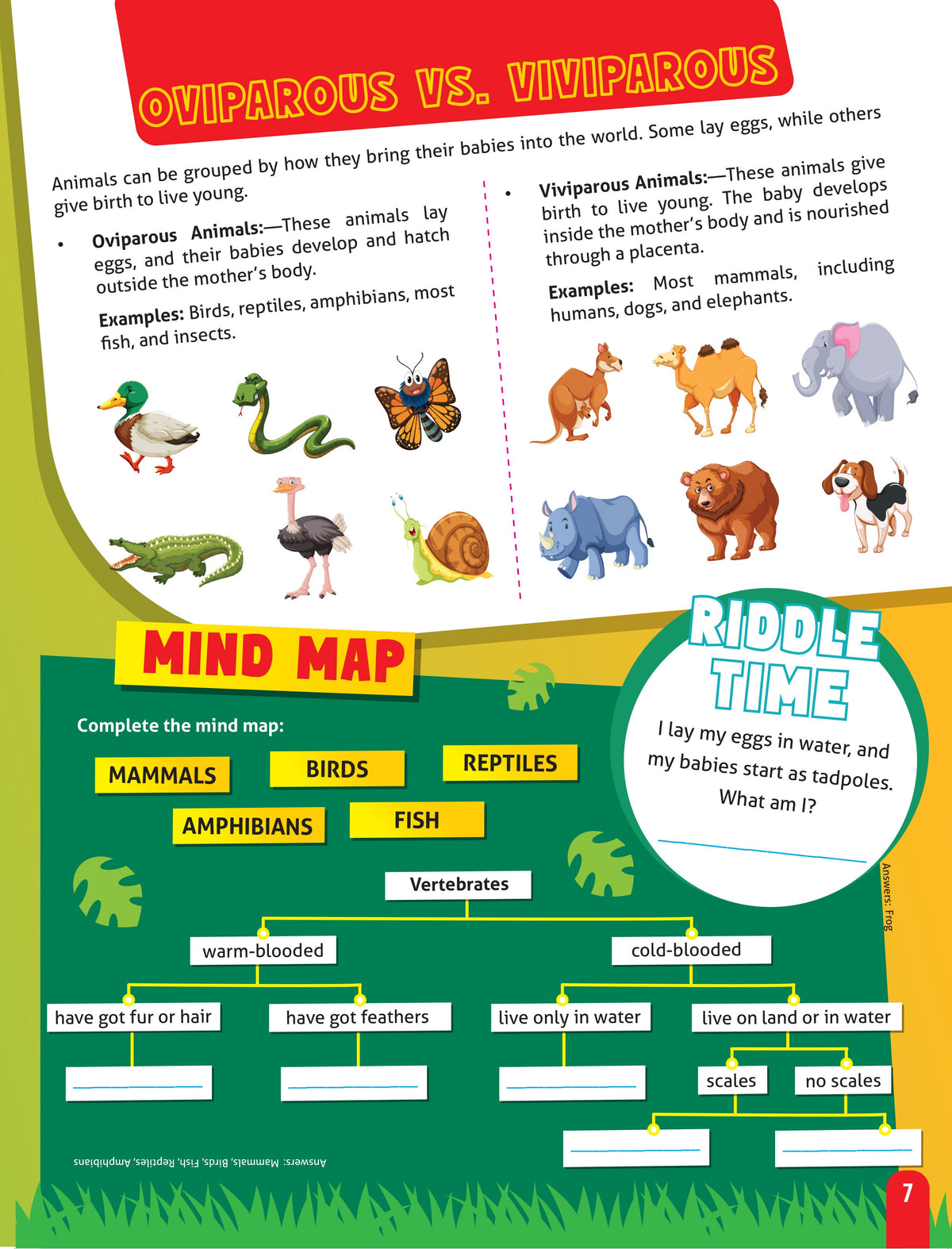 Dreamland Publications Junior Genius: Amazing Animals – A Fun-Filled Learning Book for Kids Age 7+ | Discover Incredible Creatures with Facts, Activities, and Puzzles | Grocsy