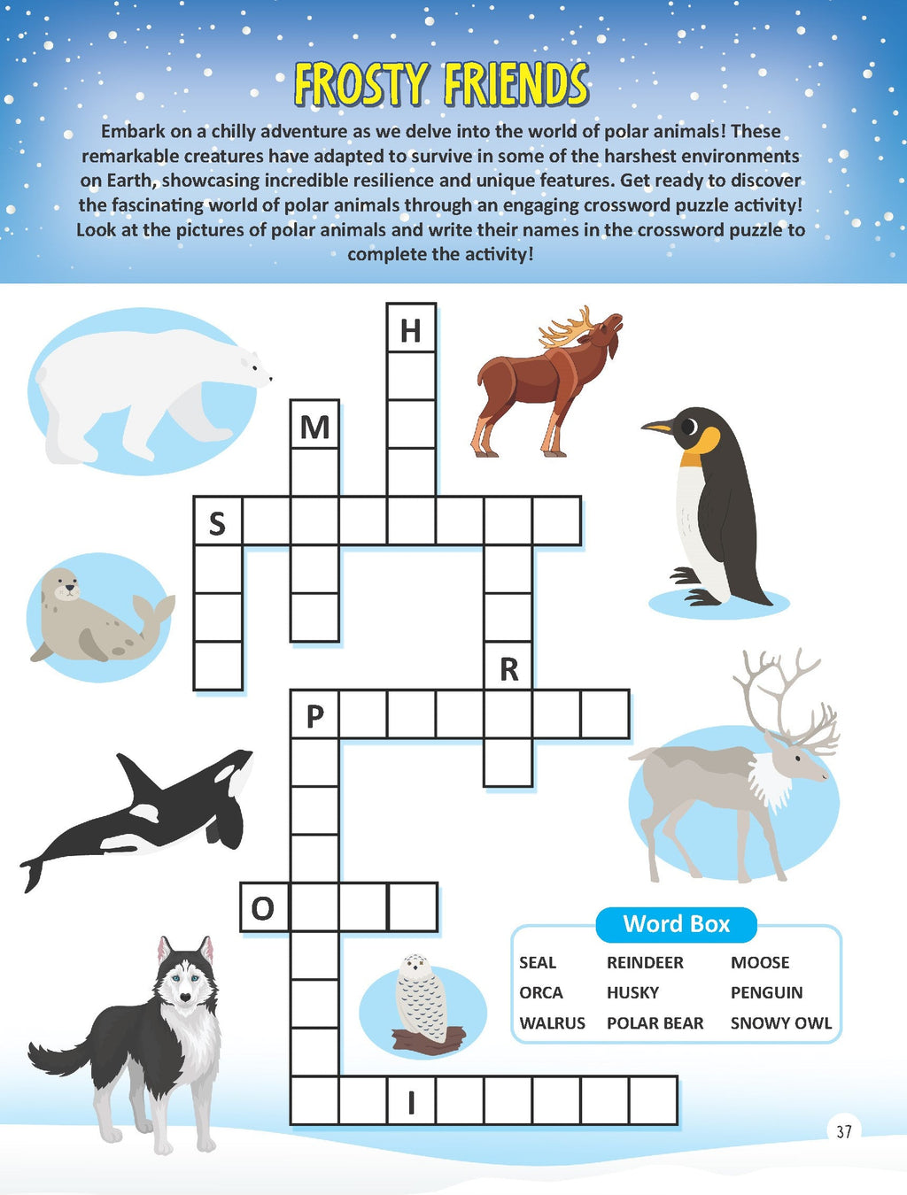 Dreamland Publications Underwater Expedition Activity Book for Kids Age 5 -10 years | Grocsy