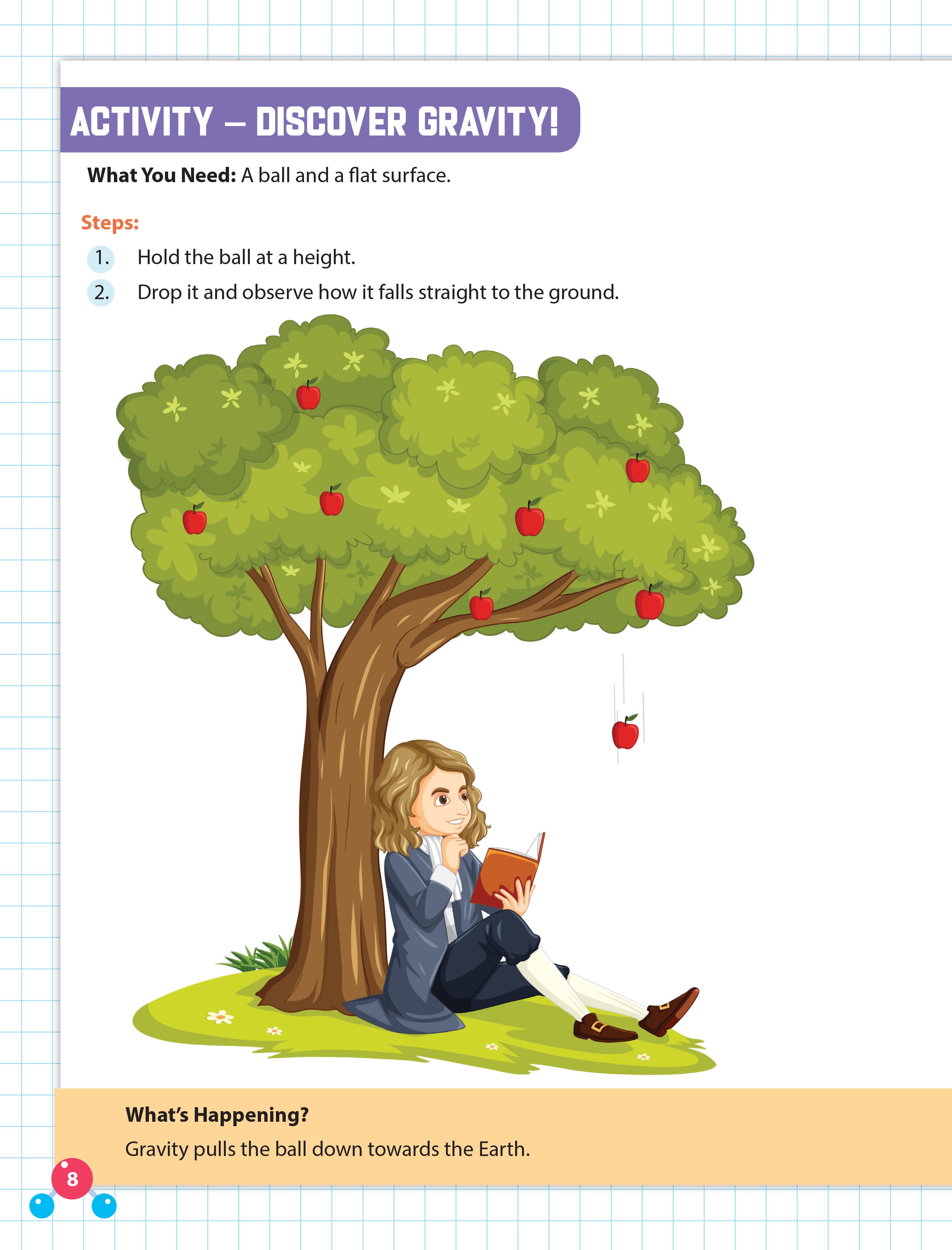 Dreamland Publications Everyday Wonders: Physics for Kids Age 6+ – Fun Facts and Hands-On Activities to Explore the Science Around You | Grocsy