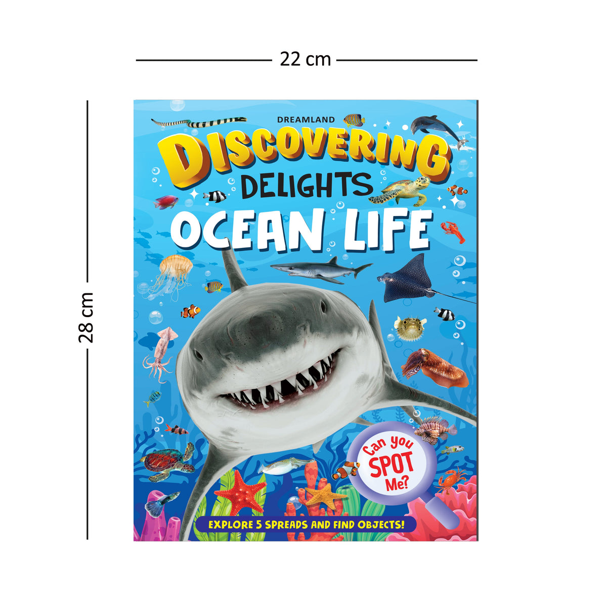 Dreamland Publications Ocean Life Discovering Delights Flap Book for Kids Age 4 - 10 years | Grocsy