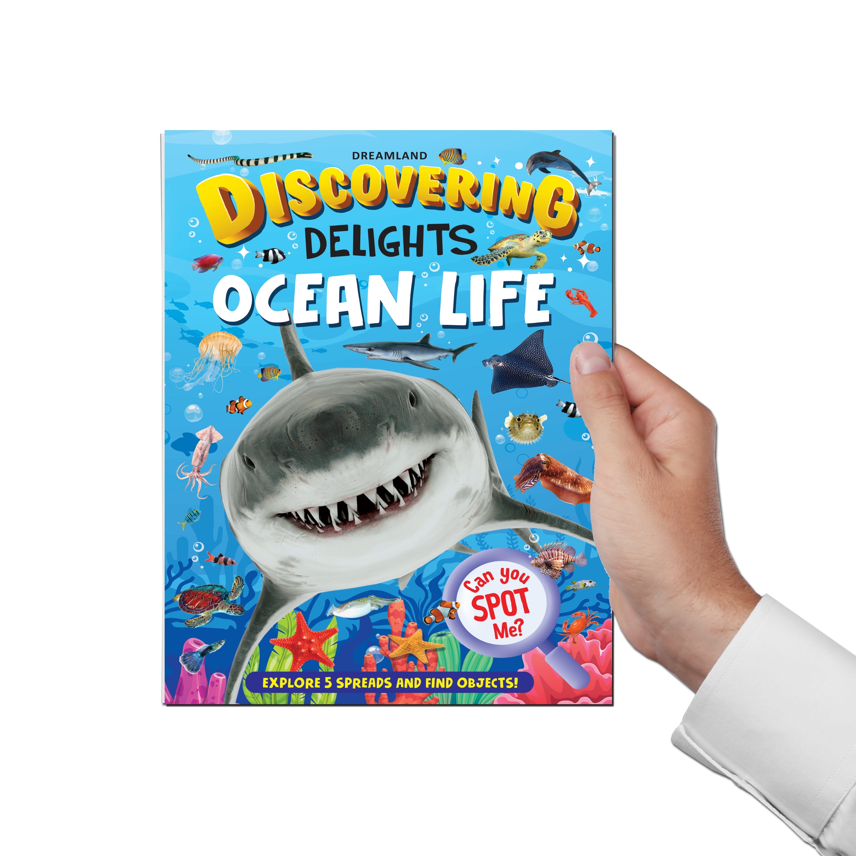 Dreamland Publications Ocean Life Discovering Delights Flap Book for Kids Age 4 - 10 years | Grocsy
