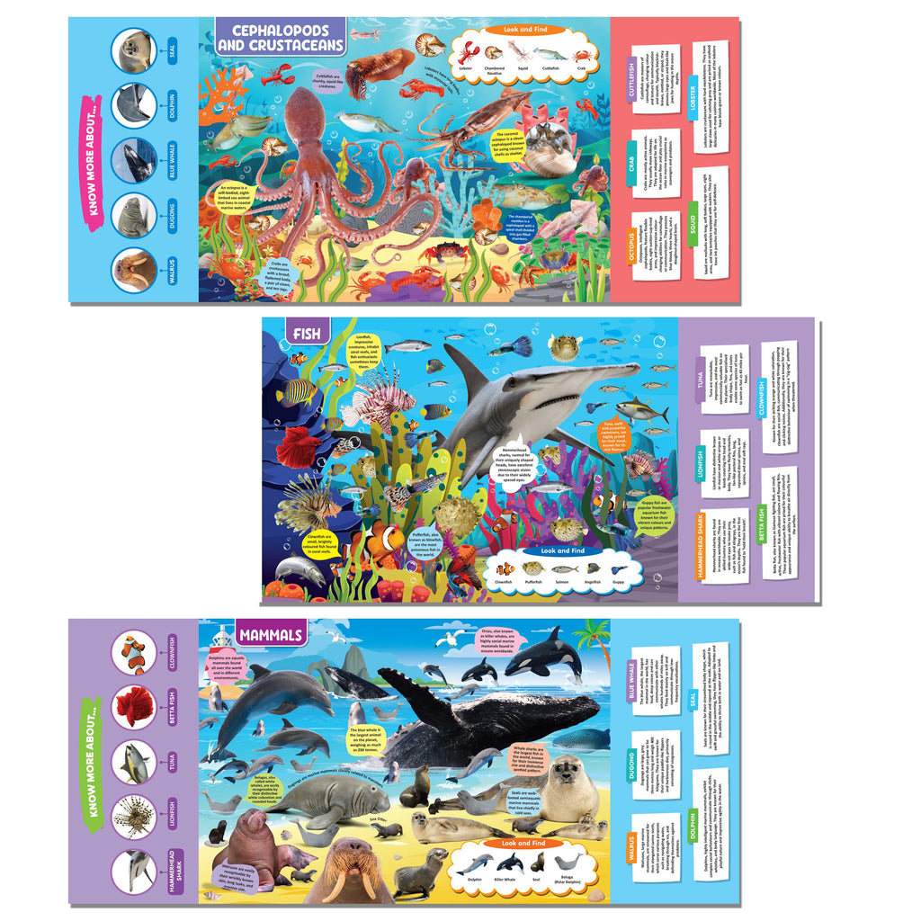 Dreamland Publications Ocean Life Discovering Delights Flap Book for Kids Age 4 - 10 years | Grocsy
