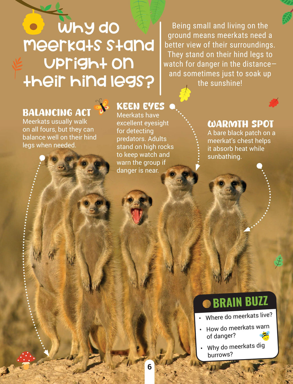 Dreamland Publications Factopedia Wild Wonders: A Fun Fact Book About Wildlife, Nature & Creatures for Kids Age 6+ | Grocsy