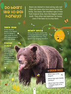 Dreamland Publications Factopedia Wild Wonders: A Fun Fact Book About Wildlife, Nature & Creatures for Kids Age 6+ | Grocsy