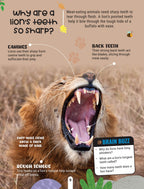 Dreamland Publications Factopedia Wild Wonders: A Fun Fact Book About Wildlife, Nature & Creatures for Kids Age 6+ | Grocsy