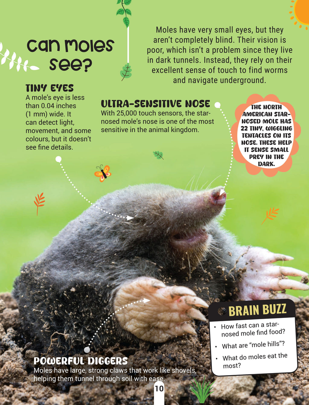 Dreamland Publications Factopedia Wild Wonders: A Fun Fact Book About Wildlife, Nature & Creatures for Kids Age 6+ | Grocsy