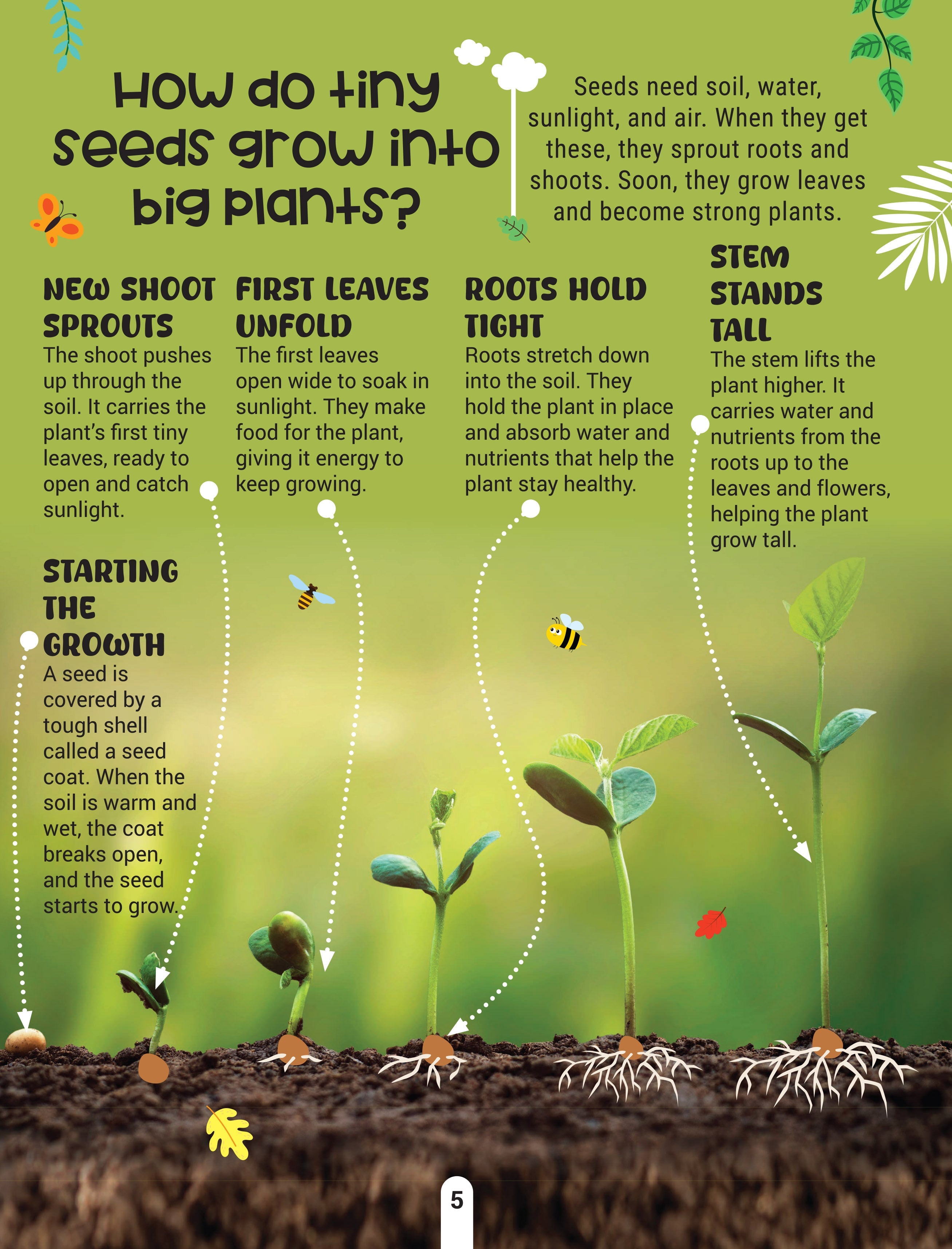 Dreamland Publications Factopedia Science Scoop: Incredible Science Facts for Kids Age 6+ | Grocsy