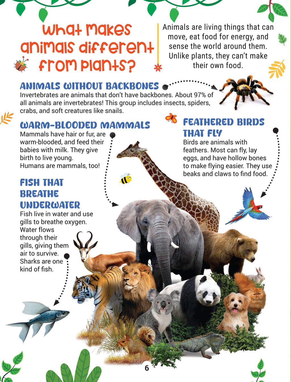 Dreamland Publications Factopedia Science Scoop: Incredible Science Facts for Kids Age 6+ | Grocsy