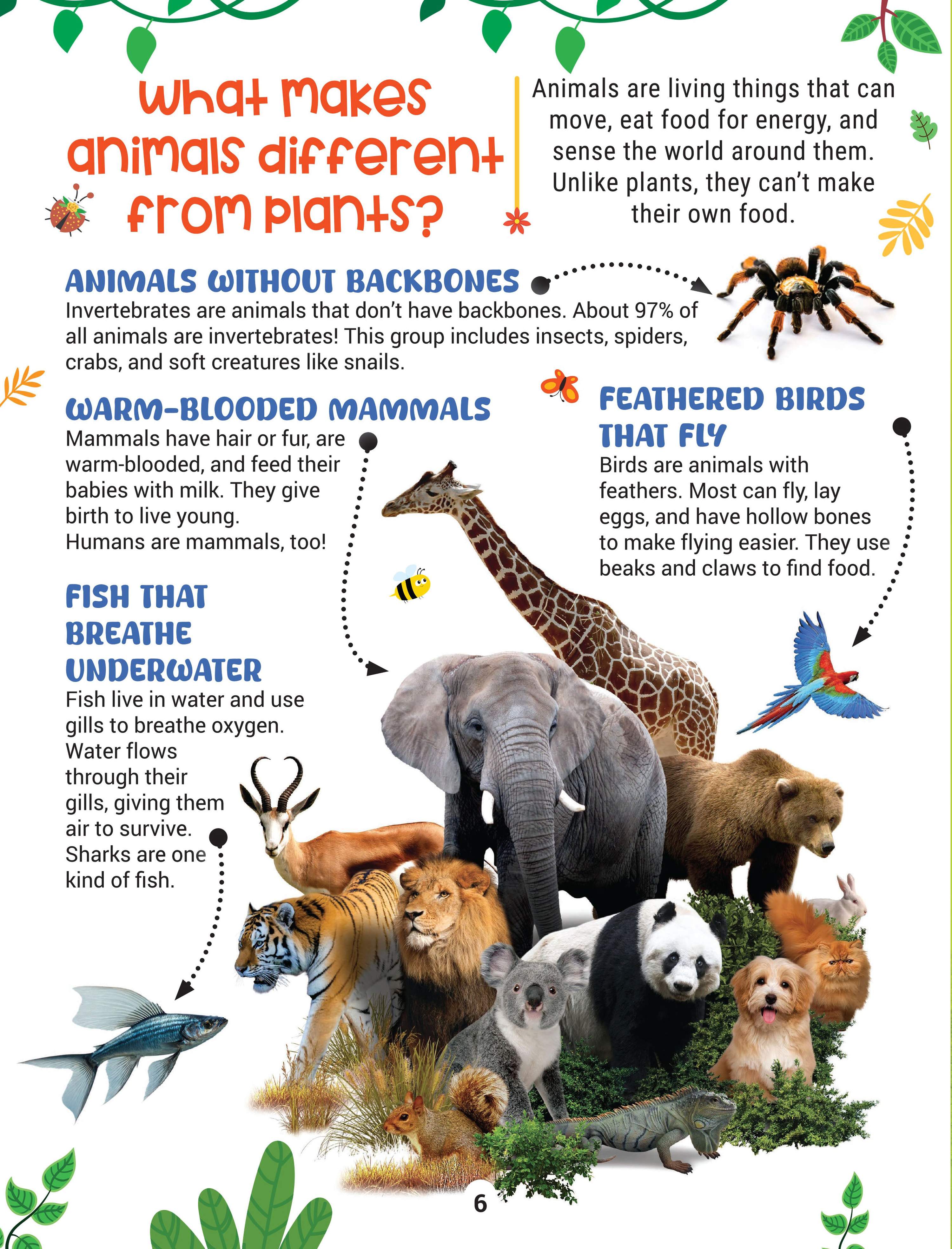 Dreamland Publications Factopedia Science Scoop: Incredible Science Facts for Kids Age 6+ | Grocsy