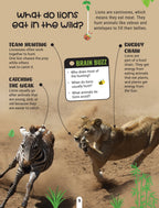 Dreamland Publications Factopedia Science Scoop: Incredible Science Facts for Kids Age 6+ | Grocsy