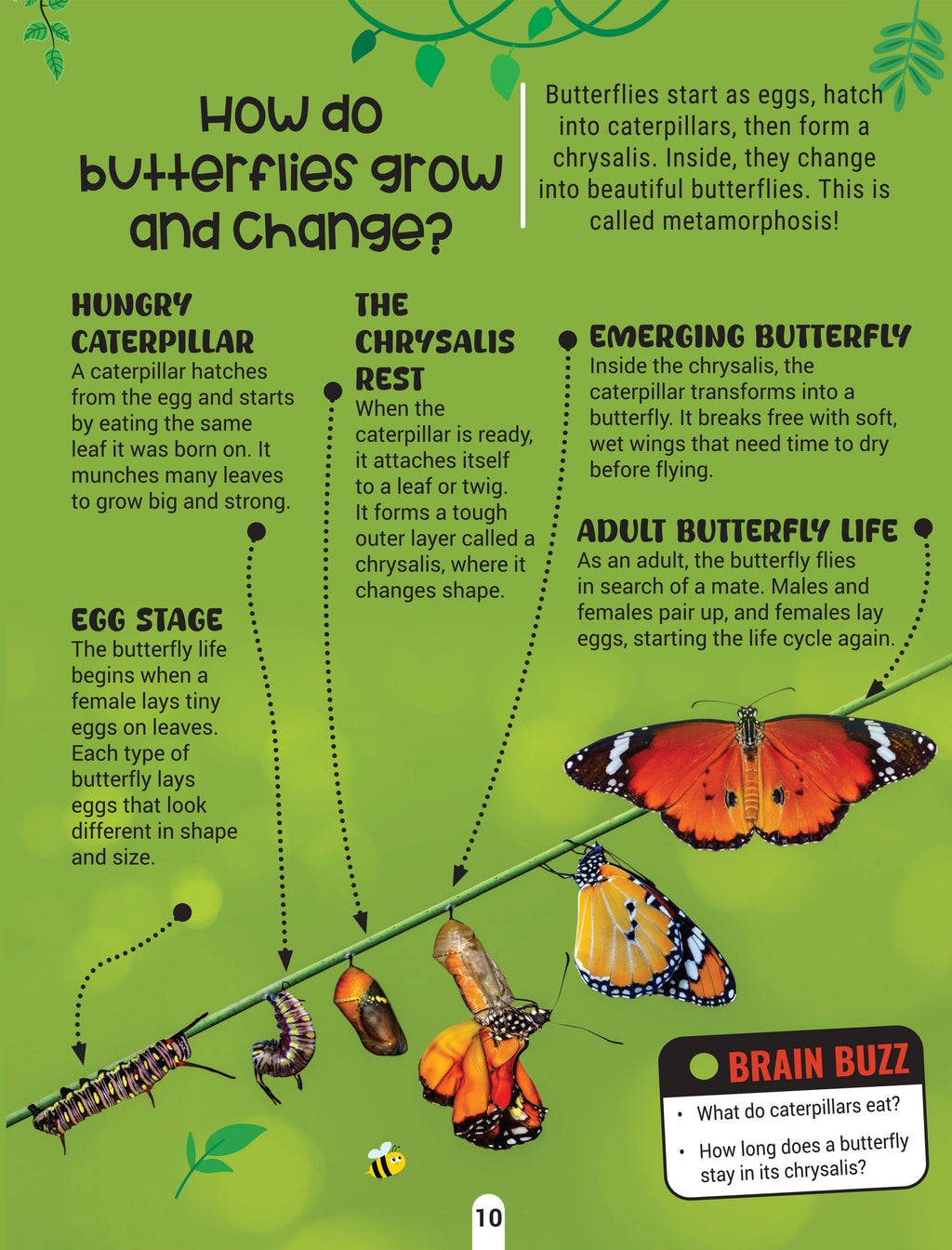 Dreamland Publications Factopedia Science Scoop: Incredible Science Facts for Kids Age 6+ | Grocsy