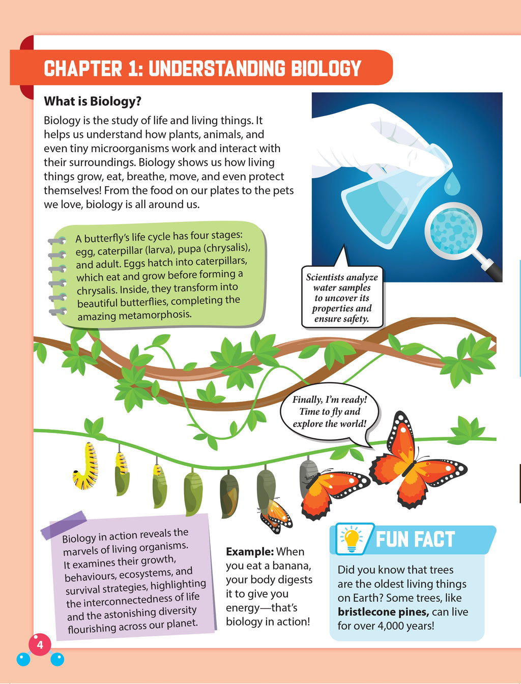 Dreamland Publications Everyday Wonders: Biology for Kids Age 6+ – Fun Facts and Exciting Activities About Living Things | Grocsy
