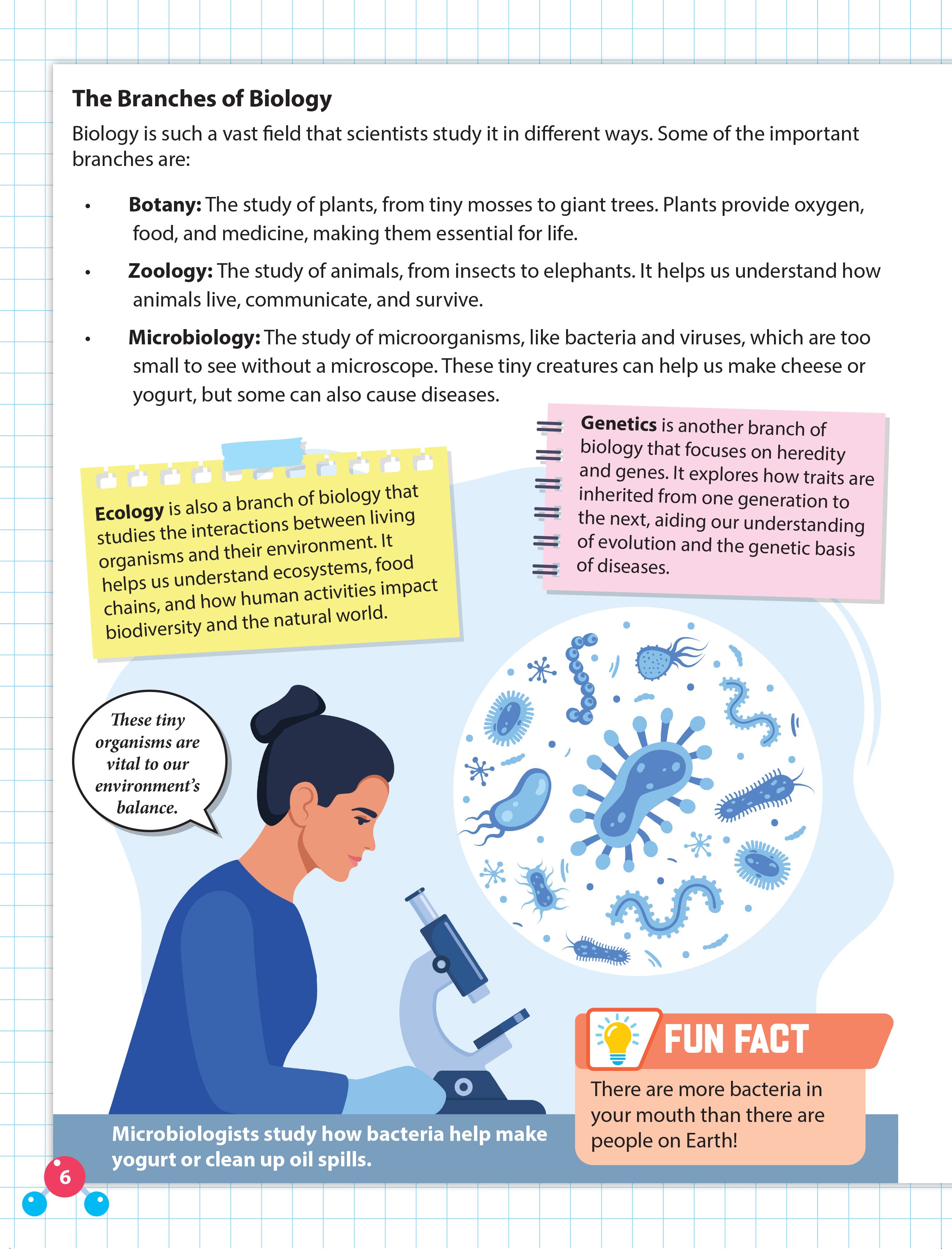 Dreamland Publications Everyday Wonders: Biology for Kids Age 6+ – Fun Facts and Exciting Activities About Living Things | Grocsy