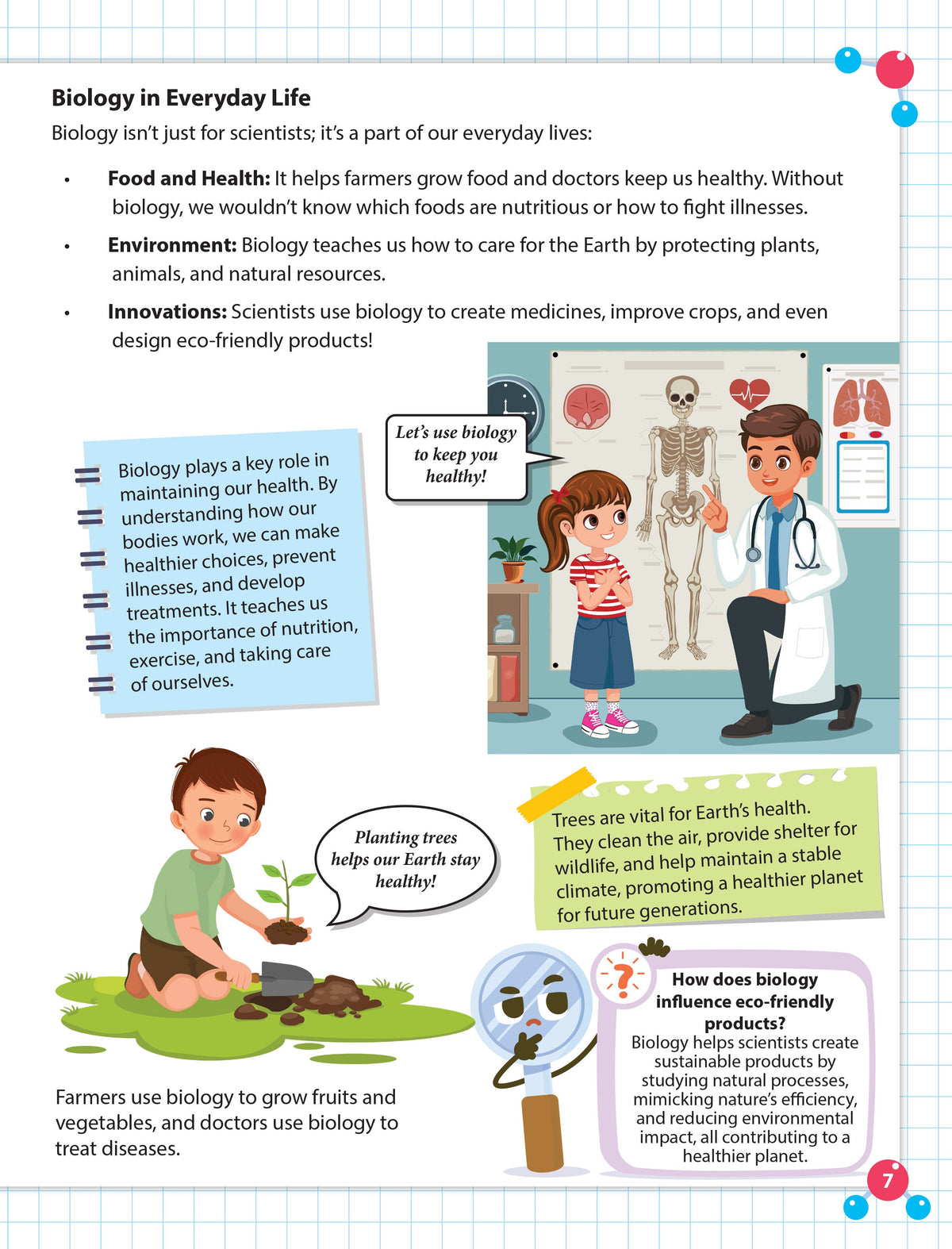 Dreamland Publications Everyday Wonders: Biology for Kids Age 6+ – Fun Facts and Exciting Activities About Living Things | Grocsy