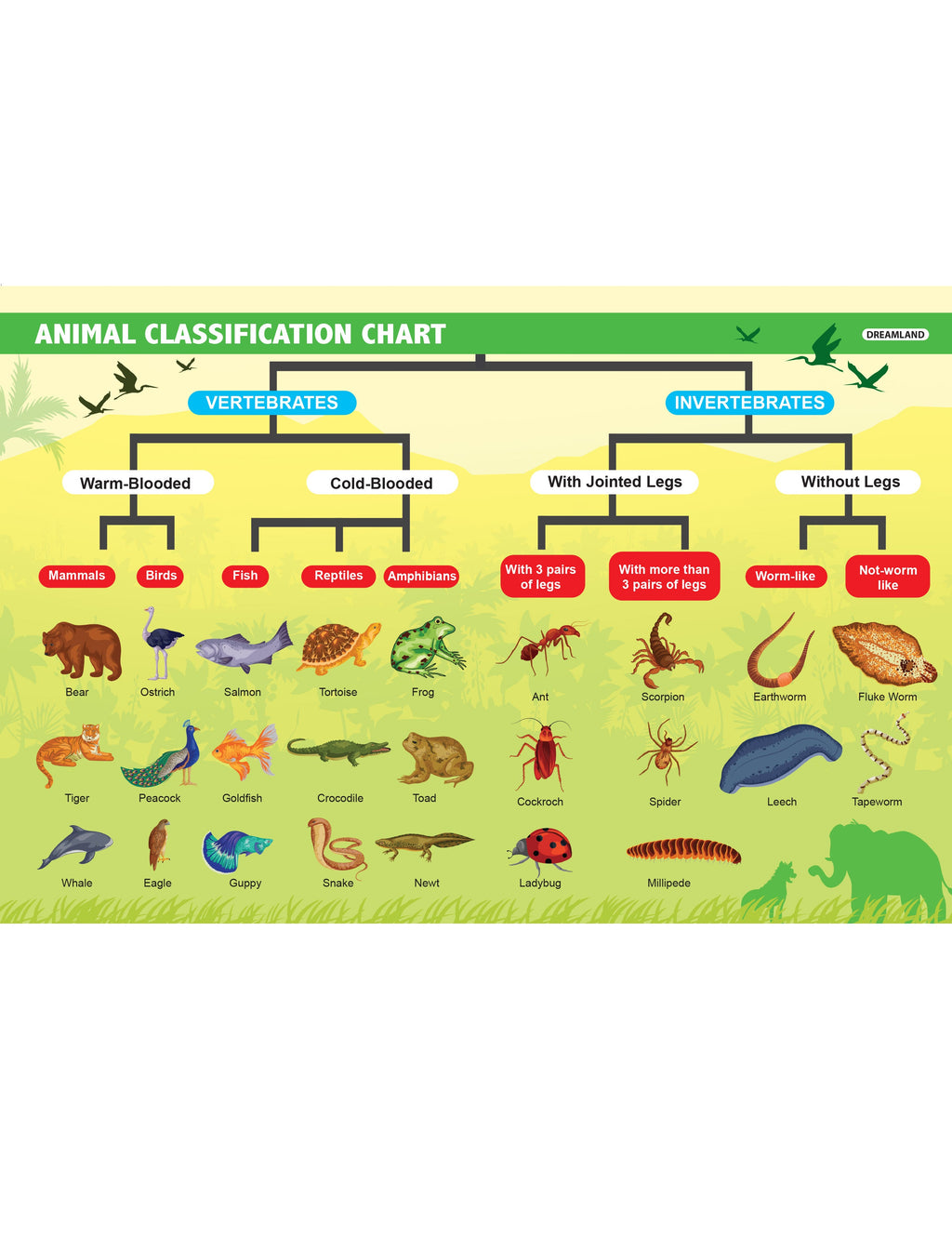 Dreamland Publications Everyday Wonders: Biology for Kids Age 6+ – Fun Facts and Exciting Activities About Living Things | Grocsy