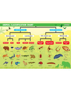 Dreamland Publications Everyday Wonders: Biology for Kids Age 6+ – Fun Facts and Exciting Activities About Living Things | Grocsy