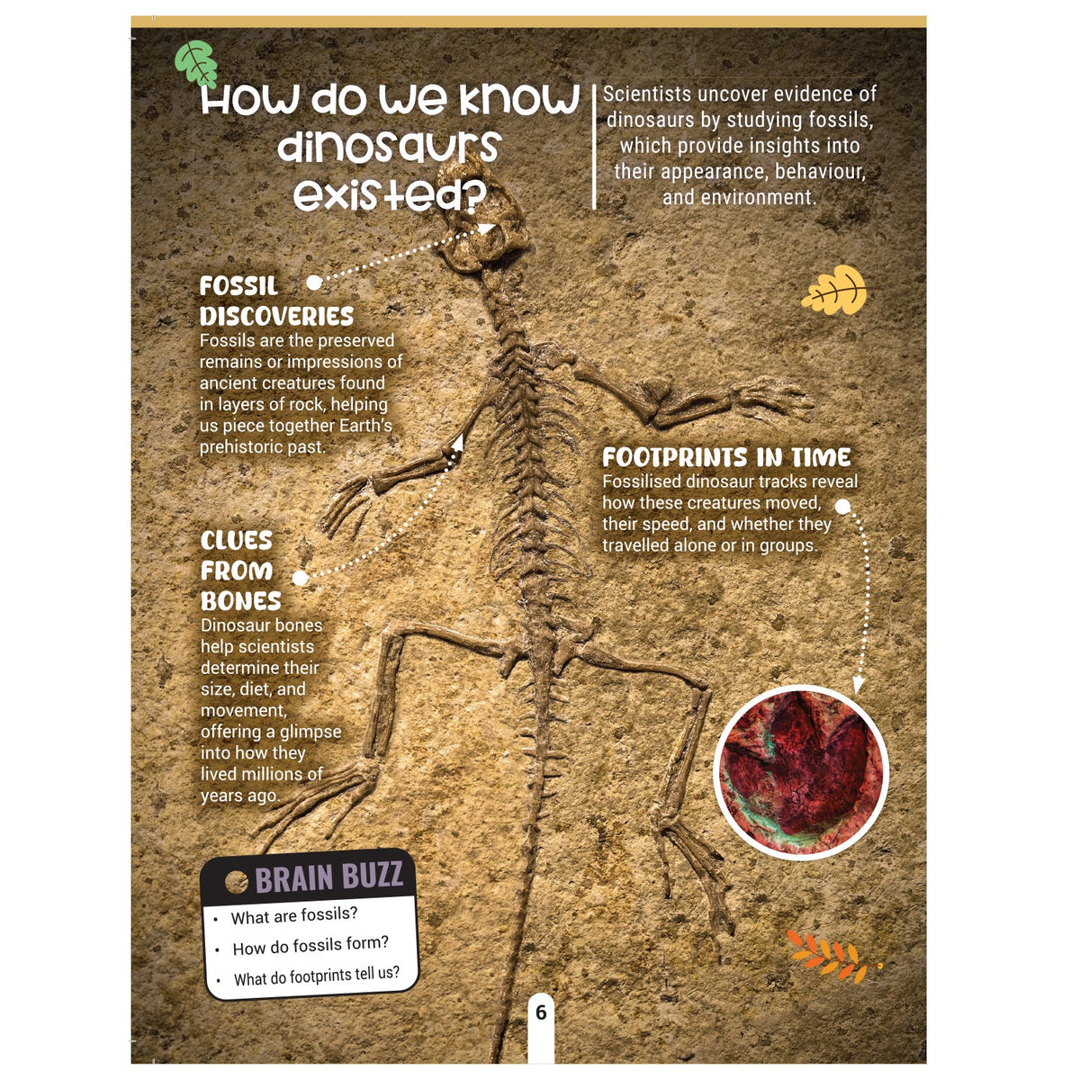 Dreamland Publications Factopedia: Dino Discovery – Fascinating Dinosaur Facts for Kids Age 6+ | Learn About Prehistoric Giants with Fun, Easy-to-Understand Info | Grocsy