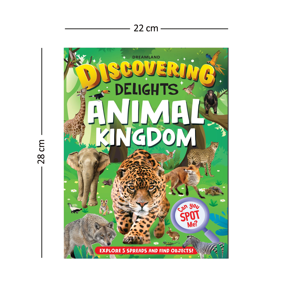 Dreamland Publications Animal Kingdom Discovering Delights Flap Book for Kids Age 4 - 10 years | Grocsy