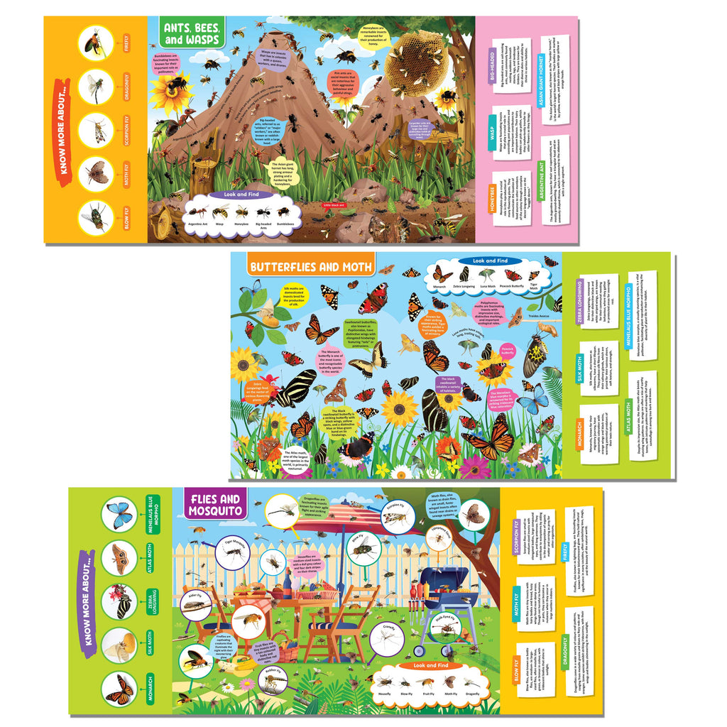 Dreamland Publications Insects and Reptiles Discovering Delights Flap Book for Kids Age 4 - 10 years | Grocsy