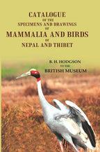 Catalogue of the Specimens and Drawings of Mammalia and Birds of Nepal and Thibet - Gyan Books | Grocsy