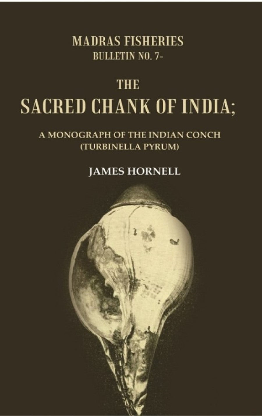 Madras fisheries bureau, bulletin No. 7-The sacred chank of India : a Monograph of the Indian conch (Turbinella pyrum) - Gyan Books | Grocsy