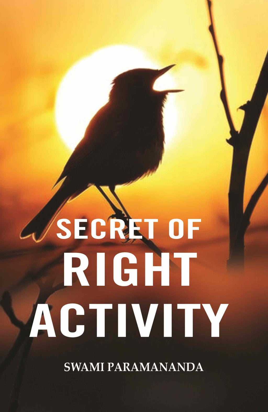 Secret of Right Activity - Gyan Books | Grocsy