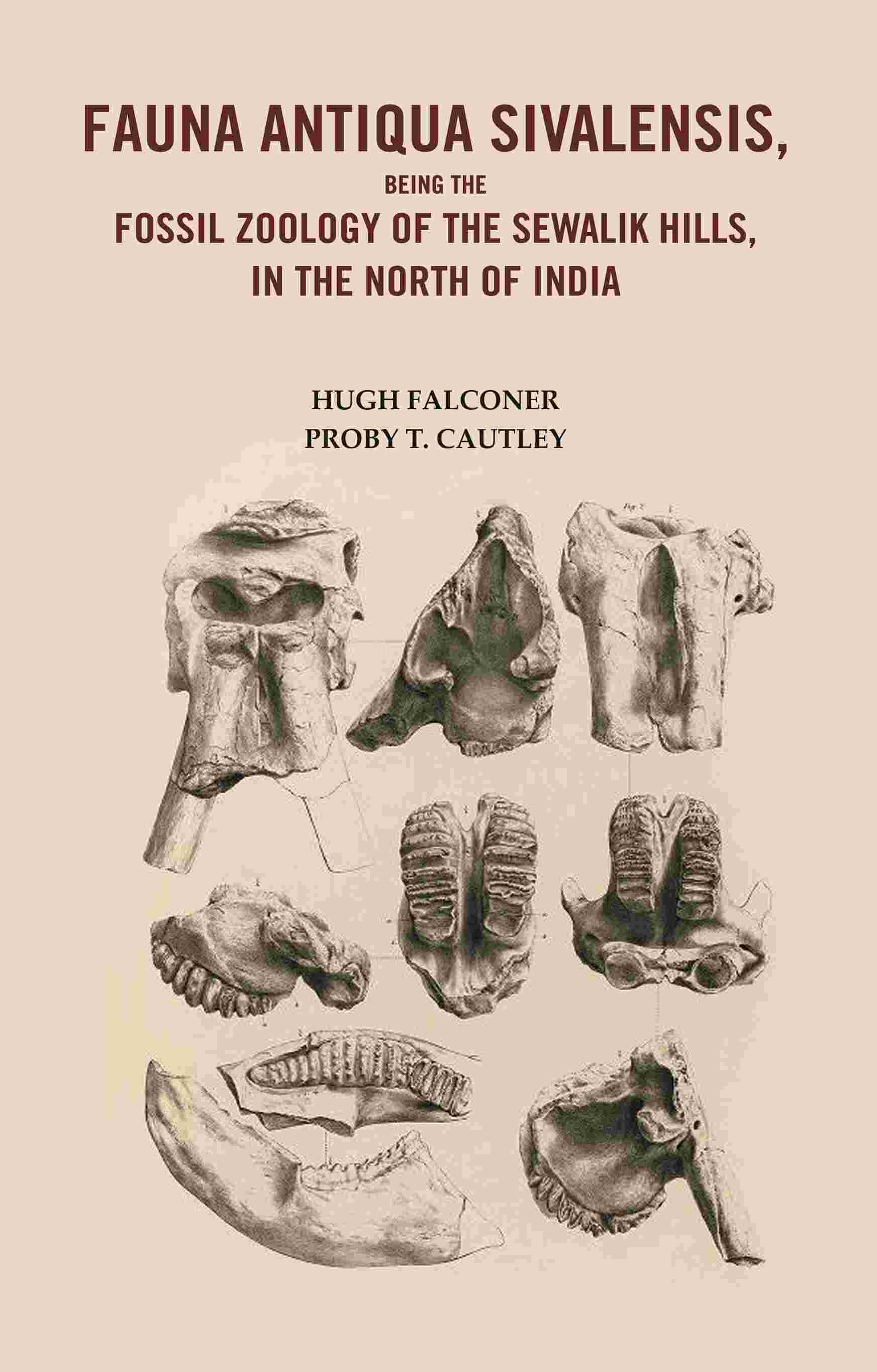 Fauna Antiqua Sivalensis, being the Fossil Zoology of the Sewalik Hills, in the North of India - Gyan Books | Grocsy