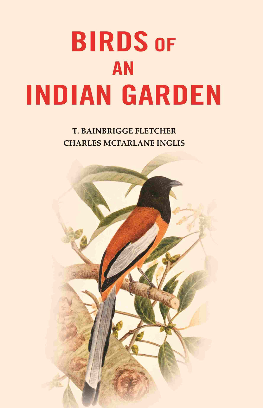 Birds of An Indian Garden - Gyan Books | Grocsy