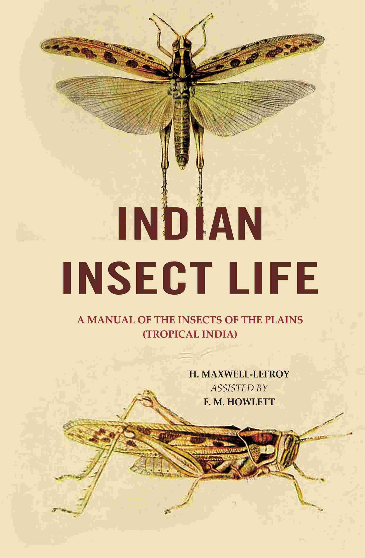 Indian Insect Life: A Manual of the Insects of the Plains (Tropical India) - Gyan Books | Grocsy