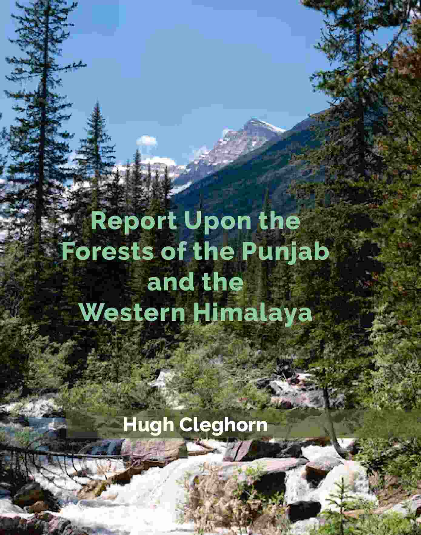 Report Upon the Forests of the Punjab and the Western Himalaya - Gyan Books | Grocsy