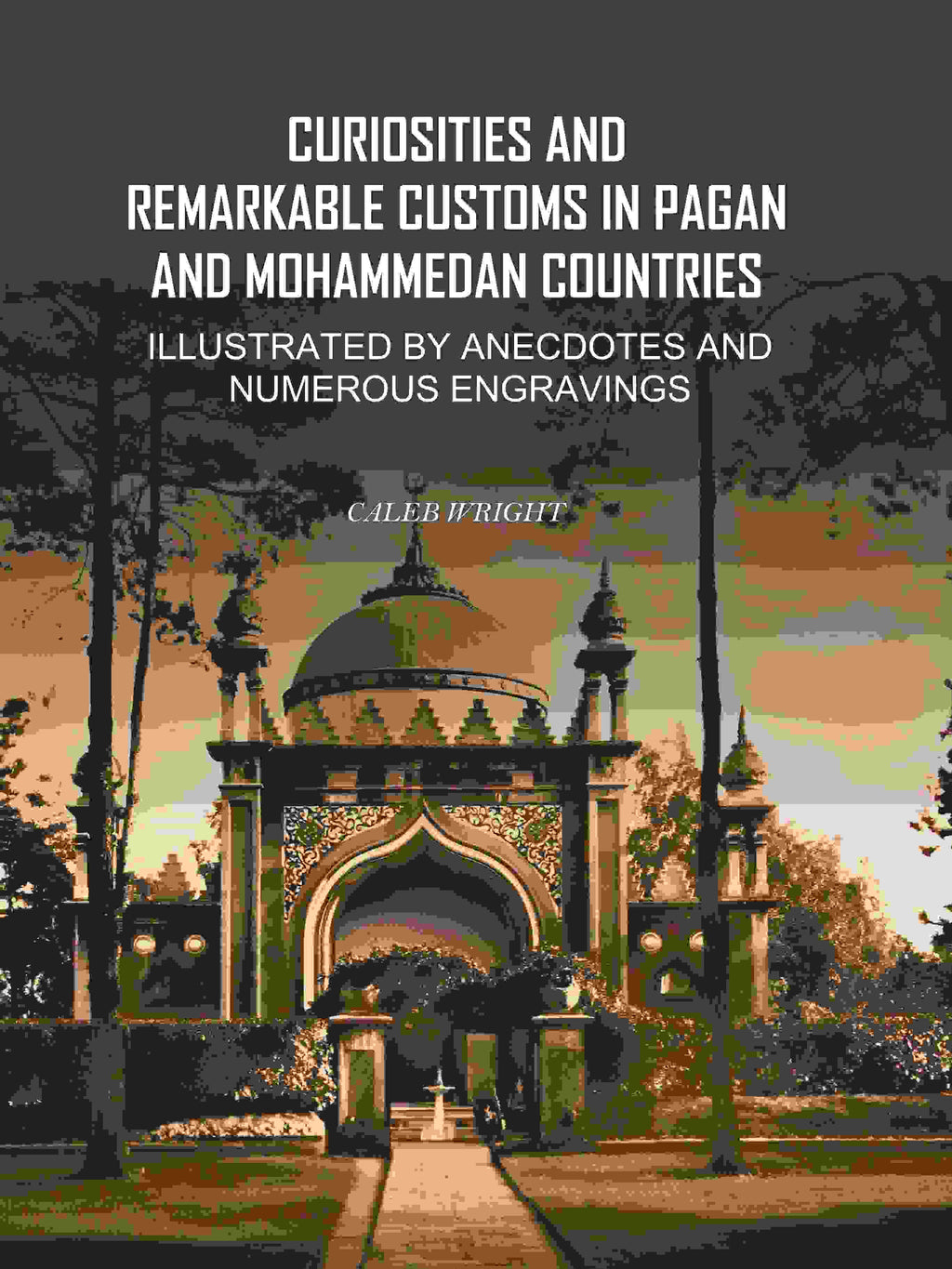 Curiosities and Remarkable Customs in Pagan and Mohammedan Countries: Illustrated by Anecdotes and Numerous Engravings - Gyan Books | Grocsy