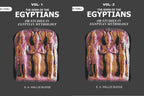 The Gods of the Egyptians: Or Studies in Egyptian Mythology 2 Vols. Set - Gyan Books | Grocsy