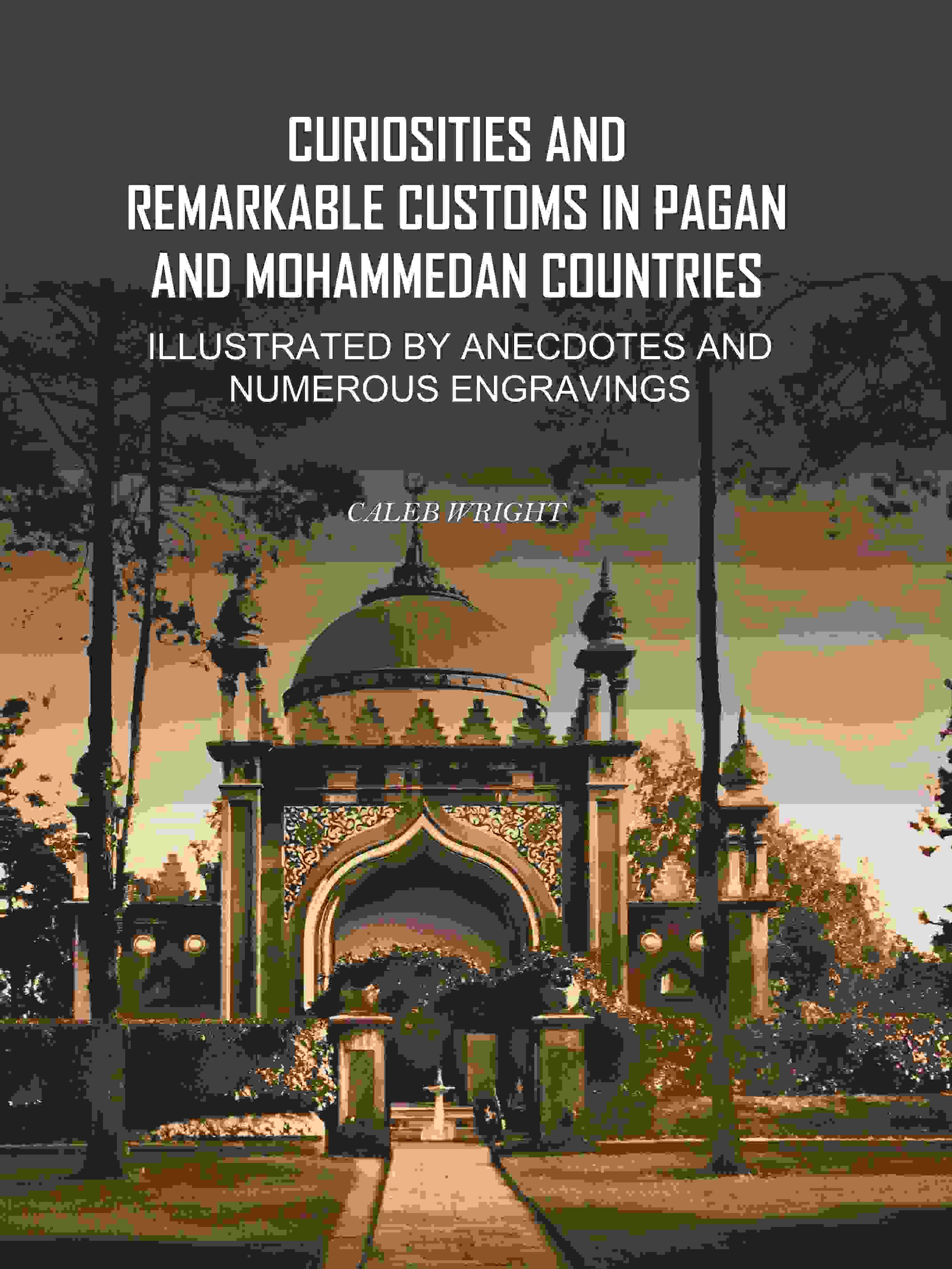 Curiosities and Remarkable Customs in Pagan and Mohammedan Countries: Illustrated by Anecdotes and Numerous Engravings - Gyan Books | Grocsy