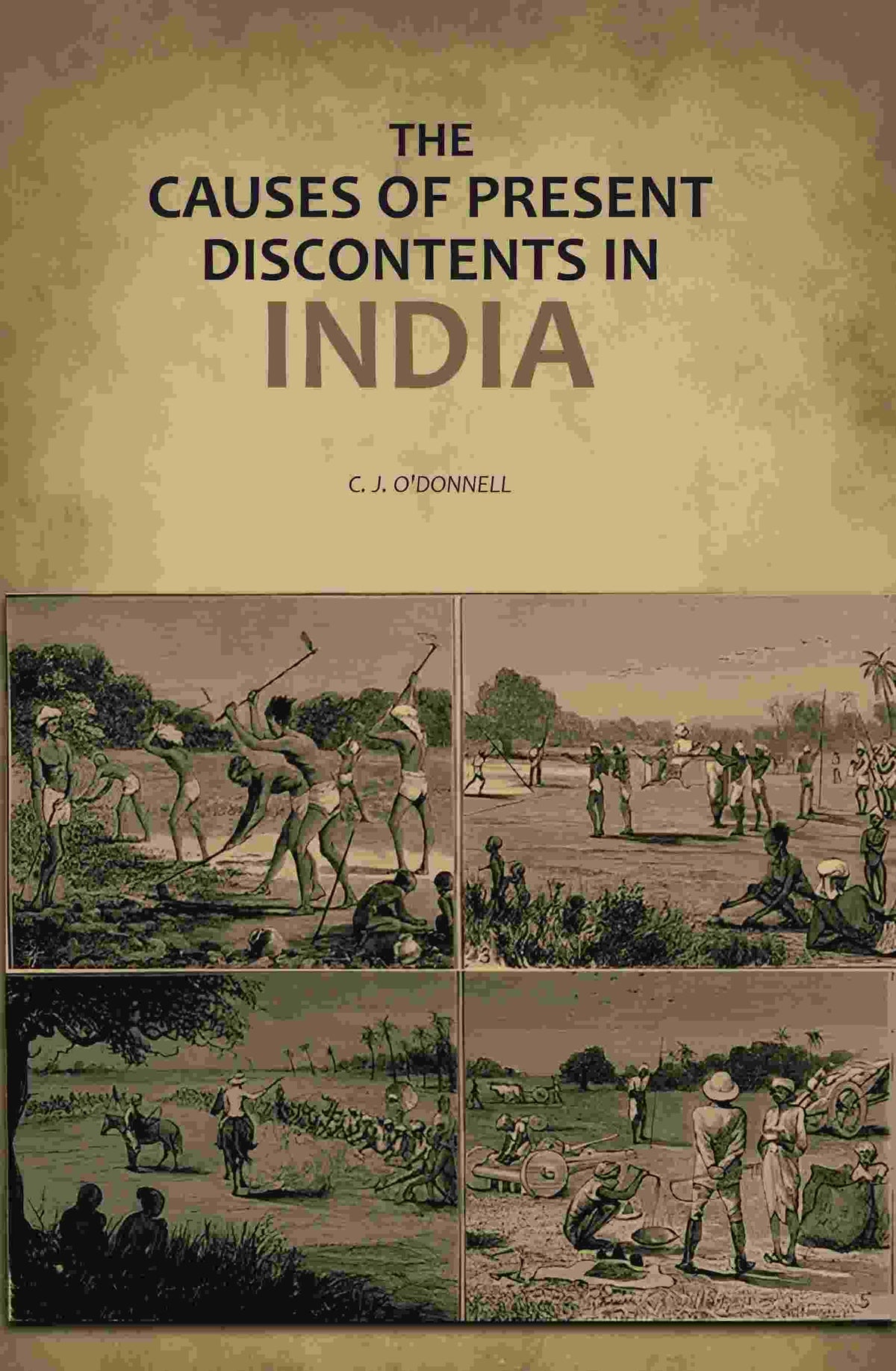 The Causes of Present Discontents in India - Gyan Books | Grocsy