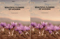 Beautiful Flowers Of Kashmir (2 Vols. Set) - Gyan Books | Grocsy