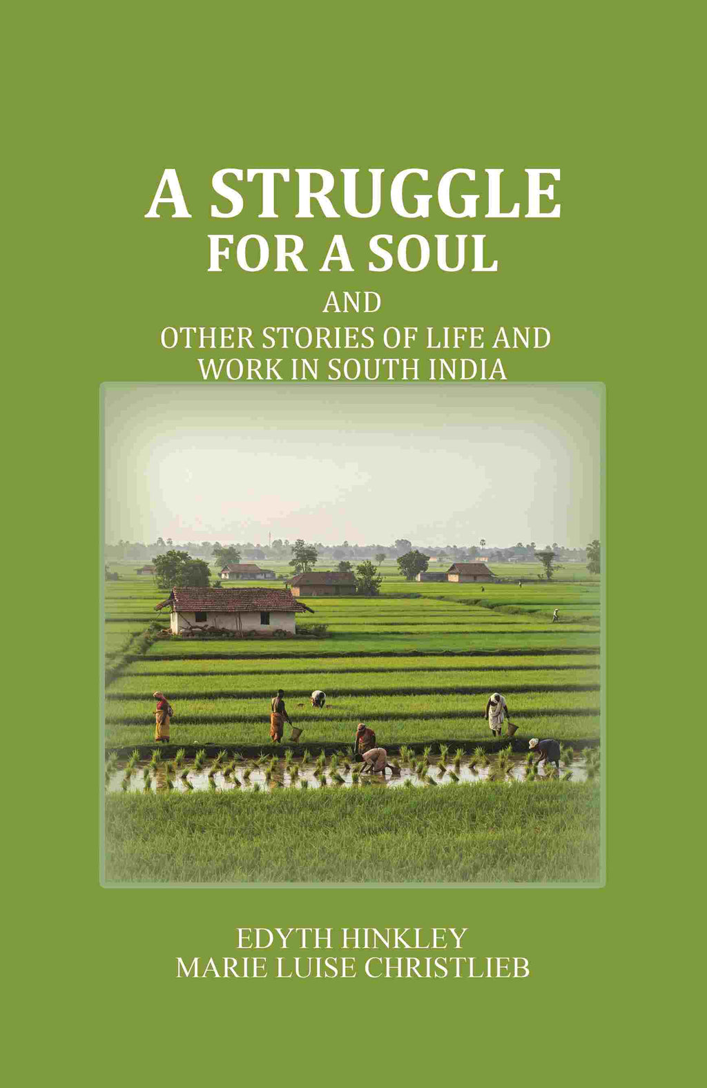 A Struggle for a Soul: And other Stories of Life and Work in South India - Gyan Books | Grocsy