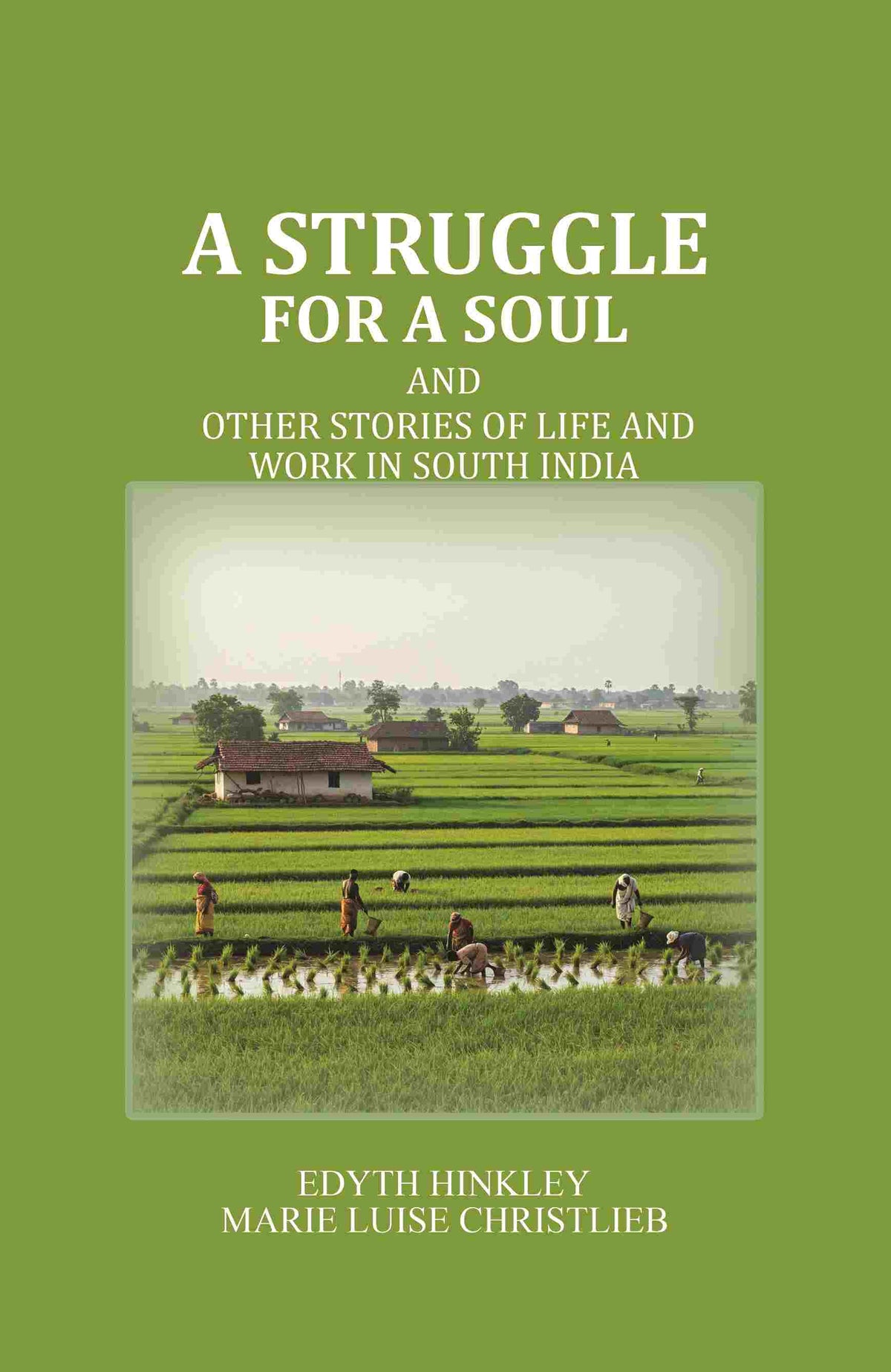 A Struggle for a Soul: And other Stories of Life and Work in South India - Gyan Books | Grocsy