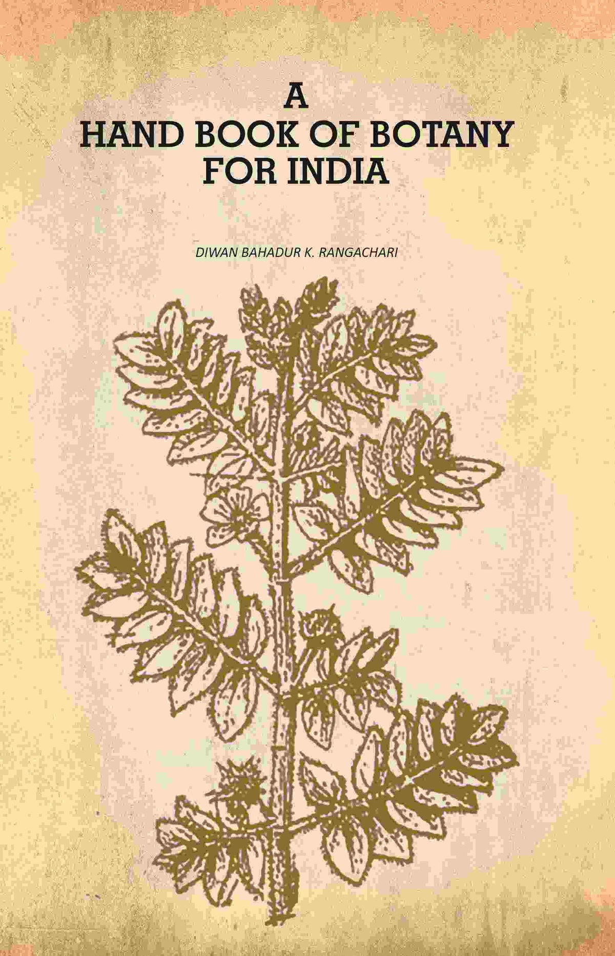 A Hand Book of Botany for India - Gyan Books | Grocsy