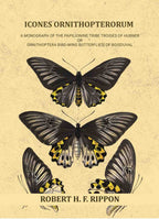 Icones ornithopterorum a monograph of the Papilionine tribe Troides of Hubner or Ornithoptera [bird-wing butterflies] of Boisduval (Vol. 1st) - Gyan Books | Grocsy
