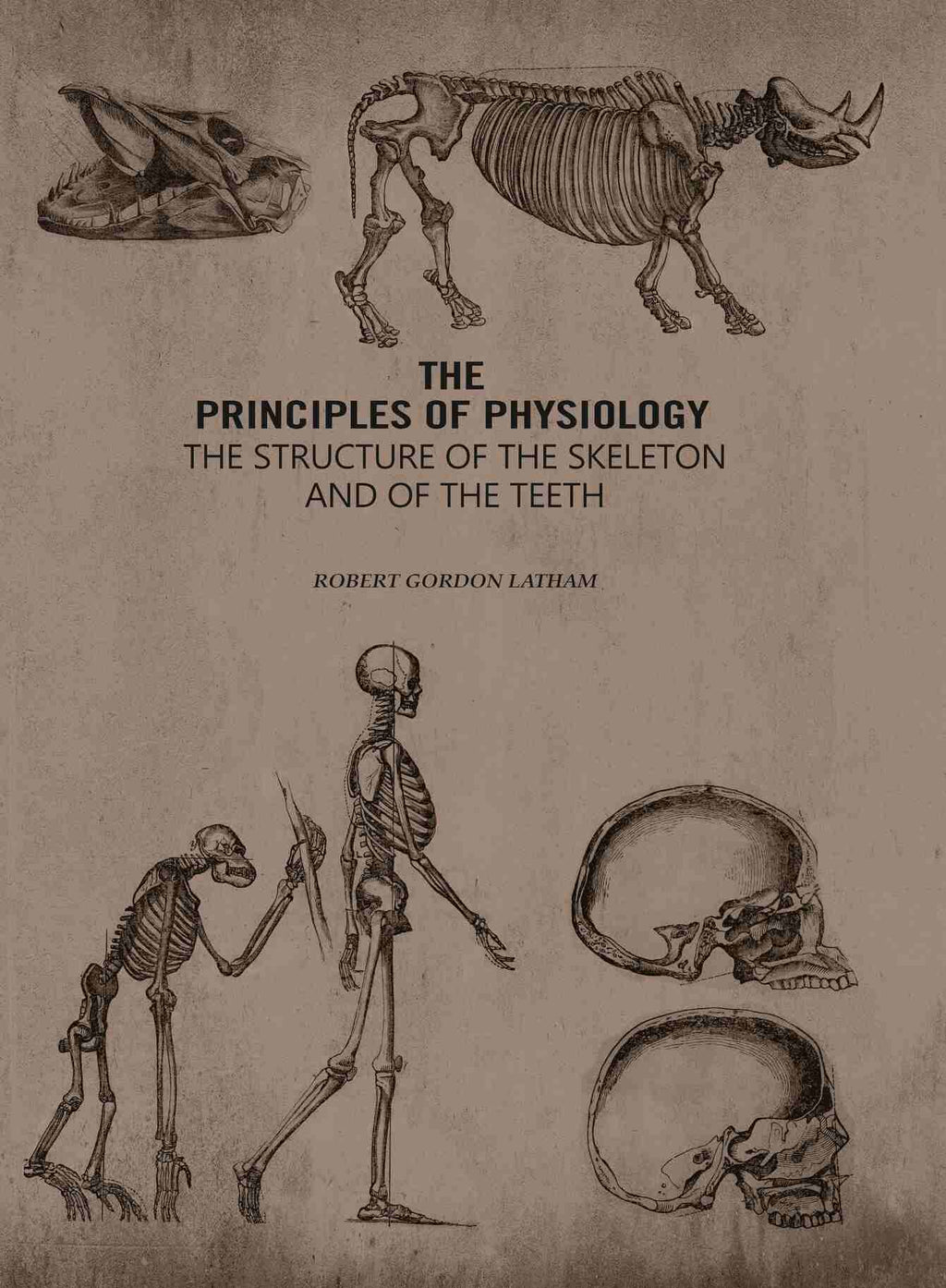 The Principles of Physiology: The Structure of the Skeleton and of the Teeth - Gyan Books | Grocsy