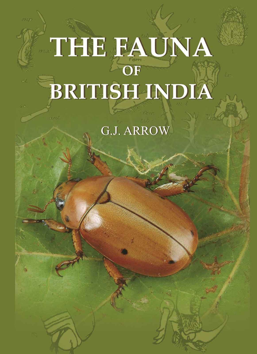 The Fauna Of British India - Gyan Books | Grocsy