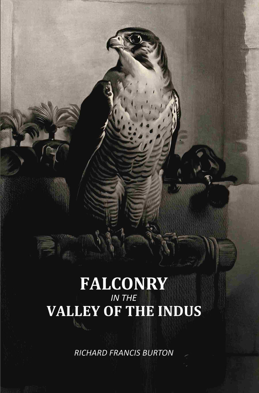 Falconry In The Valley Of The Indus - Gyan Books | Grocsy