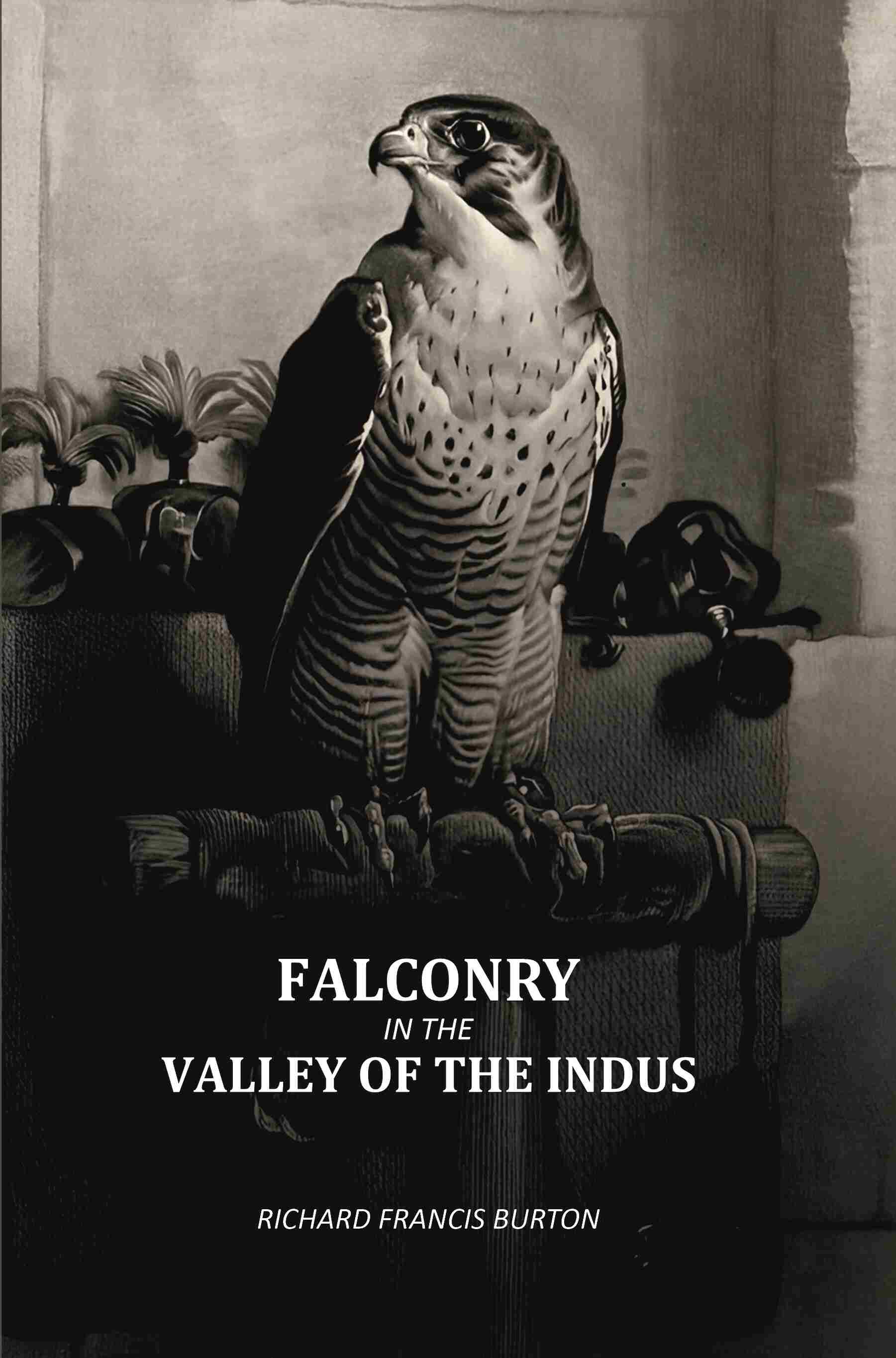 Falconry In The Valley Of The Indus - Gyan Books | Grocsy
