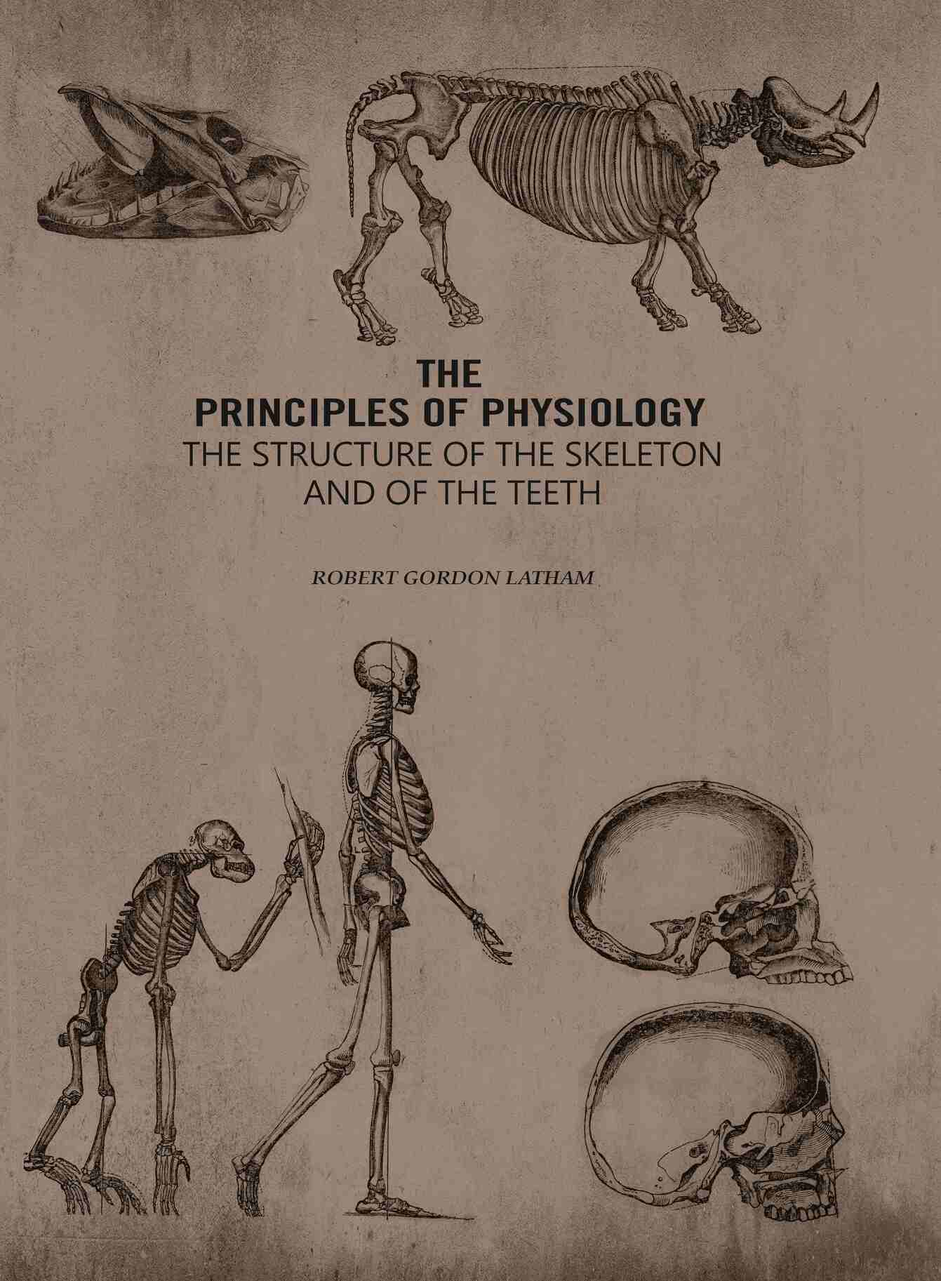 The Principles of Physiology: The Structure of the Skeleton and of the Teeth - Gyan Books | Grocsy